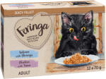 Feringa 12x70g Feringa Juicy Fillet nedves macskatáp Mix: lazac & garnéla + csirke & tonhal