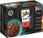 Sheba 96x85g Sheba variációk Szószos húsválogatás tasakos nedves macskatáp