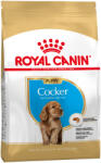 Royal Canin 2x3kg Royal Canin Cocker Spaniel Puppy Fajta Szerinti száraz kutyatáp