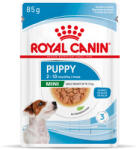 Royal Canin Kiegészítés száraztáphoz: 24x85g Royal Canin Mini Puppy nedves kutyatáp