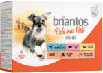Briantos 12x100g briantos Delicious Paté nedves kutyatáp Mix: csirke, marha & lazac