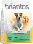 Briantos 4x1kg Briantos Adult Mini bárány & rizs száraz kutyatáp