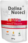 Dolina Noteci 20x300 g Gazdaságos csomag: Noteci Junior nedves kutyatáp - Marhaszív