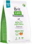 Brit 2x3kg Brit Care Grain-Free Adult Large Breed Salmon & Potato száraz kutyatáp