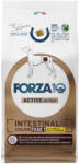 FORZA10 Active Line Dog 2x 10kg Forza 10 Intestinal Colon Phase 1 mit Lamm Hundefutter trocken