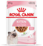 Royal Canin 12x85g Royal Canin Kitten szószban nedves macskatáp