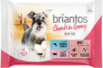Briantos 4x100g Briantos nedves kutyatáp tasakos próbacsomag Delicious Paté (lazac & marha)