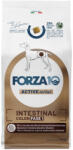 FORZA10 Active Line Dog 2x10kg Forza 10 Active Vet Diet Intestinal Colon Phase 1 száraz kutyatáp - zooplus - 69 690 Ft