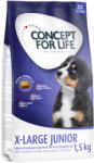 Concept for Life 6kg Concept for Life X-Large Puppy & Junior száraz kölyökkutyatáp
