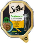 Sheba 22x85g Sheba Nature´s Collection pulyka szószban nedves macskatáp