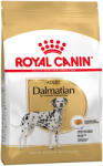 Royal Canin 2x12kg Royal Canin Dalmatian Adult fajta szerinti száraz kutyatáp