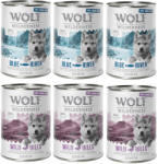 Wolf of Wilderness 24x400g Wolf of Wilderness JUNIOR kutyatáp - Vegyes csomag