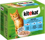 Kitekat 48x85g Kitekat Halválogatás aszpikban nedves macskatáp