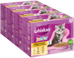 Whiskas 48x85g Whiskas Junior szárnyasválogatás aszpikban nedves macskatáp