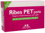  Ribes Pet Ribes Pet Pearls 30 bőr- és szőrápoló kapszula macskáknak 60db