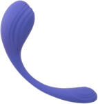 CalExotics Connect Kegel Exerciser