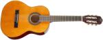 Tanglewood EM C1