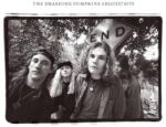 The Smashing Pumpkins - Rotten Apples: Greatest Hits (2 LP) (0602465608175)