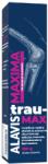 Alavis Maxima Emulgel concentrat pentru articulatii Trau-Max, 100 g, Alavis Maxima
