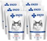  ENZO VET ENZO VET Renal marhahússal zselében macskáknak 6x100g