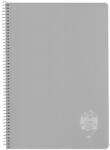 DACO Caiet A4 cu spira si coperta plastic Daco CT496AR, 96 file, 70 g/mp, Matematica, Gri (CT496AR/GRI)