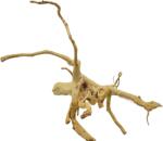 INVITAL Red moor wood KG 1855g (ID 3523)