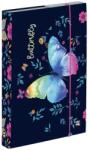 KARTON P+P Notebook doboz A5 Jumbo Butterfly