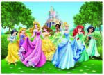  ФОТОТАПЕТ DISNEY СТАНДАРТ 360x254см/4Ч 15112-2207 ПРИНЦЕСИ (15112-2207)
