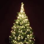 Christmas Light ML 200/WW LED-s izzósor-csokor, mikroszálas, 10 ágú, 1, 9m, IP44, 230V (ML 200/WW)