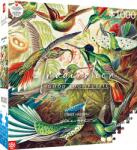  Imagination: Ernst Haeckel - Hummingbirds 1000 db-os puzzle
