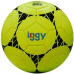 IGGY Minge fotbal Iggy igfb-basic, material PVC si cusatura, dimensiune 5, greutate 410 grame (IGFB-BASIC)