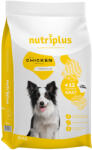  Nutriplus 2x3kg Nutriplus Adult Dog csirke száraz kutyatáp