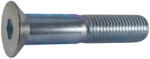  Sf. belsőkulcsnyílású csavar DIN 7991 M8x25 10.9 Vz (07991008002510901000)