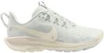 Nike Női futócipő Nike PEGASUS TRAIL 5 W DV3865-101 - EUR 38, 5 | UK 5 | US 7, 5