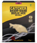 SBS Soluble Catcher R-m Boilie Mix Squid&straw 1kg (e-sbs99559)