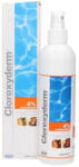  ICF Clorexyderm Solutie Antiseptica 0.5%, 250 ml