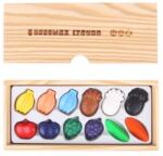 Tooky toys Пастели с пчелен восък, Плодове, 12 цвята (ja92644)