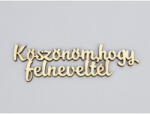  Natúr fa - "Köszönöm, hogy felneveltél" felirat 4x15cm - csinaldmagadshop
