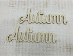  Autumn" felirat 2db/csomag - KIFUTÓ