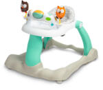 Caretero Toyz Проходилка Бухал Caretero Toyz (TOYZ-2054) - playfactory Проходилка