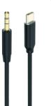 2GO Audiokabel AUX/MP3 für USB Type-C - Stereo 100cm schwarz (797219) (797219)