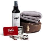 Taylor Essentials Pack Gloss Finish Guitars