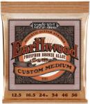 Ernie Ball 2143 Earthwood Phosphor Bronze Strings Custom Medium