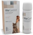  WEPHARM WEPHARM WeGastro, supliment sistem digestiv câini, suspensie orală WEPHARM WeGastro, XS-XL, supliment sistem digestiv câini și pisici, flacon, 60ml suspensie orală
