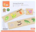 LAMPS Puzzle din lemn - evoluție Puzzle