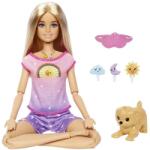 LAMPS Păpușă Barbie și meditație de dimineața până seara Papusa Barbie