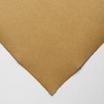 Hahnemühle Ingres papír, 100 g, 48x62, 5 cm - 256 brown