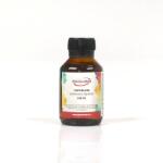 ArtExport Művészellátó zaponlakk - 100 ml