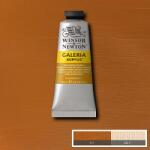 Winsor & Newton Galeria akrilfesték, 60 ml - 553, raw sienna opaque
