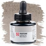 Talens Pantone marker tinta, 30 ml - warm gray 2